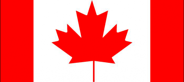 Canadian Flag Maple Leaf
