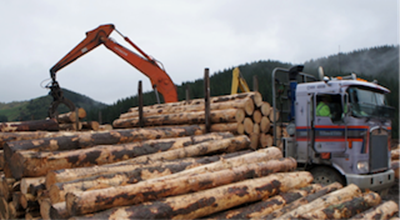 NZ roundwood prices