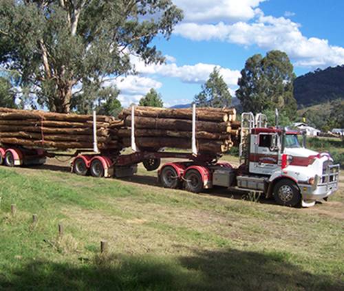 1 Mar 2017 | Reducing truck roll-overs in Green Triangle ...