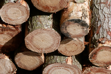 11 Apr 2017 | Wood market reveals “Top 40” Canadian and U.S. softwood lumber producers