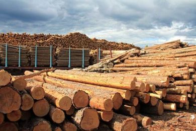 11 May 2017 | Ukrainian Holding Sawmilling Company starts production at its sawmill
