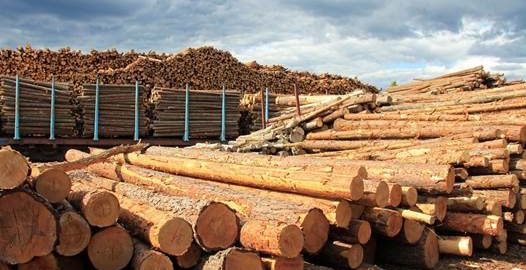 Ukrainian Holding Sawmilling Company