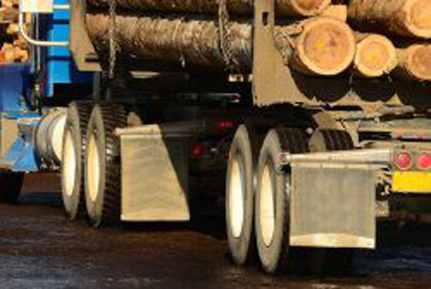 Logs