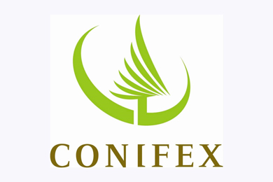 Conifex Timber 2Q revenues up 72%