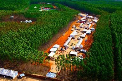 Brazilian Expoforest draws more than 220 participating companies