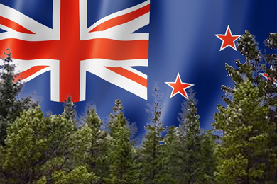 100 Million Trees – NZ Anglers body shun pine proposals