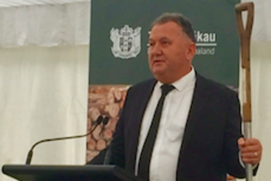 Te Uru Rakau