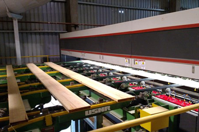 Arauco upgrades sawmill trimmer to USNR BioVision  