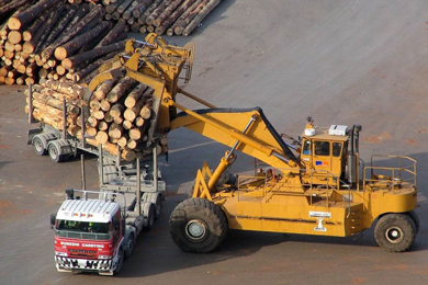 Update: NZ Log export markets