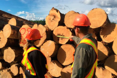 Forest Industry Commends Government for Dues Deferral