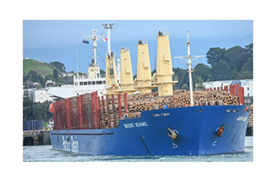 Exports – Port of Tauranga Offers Safe Harbour in a Global Covid-19 Storm