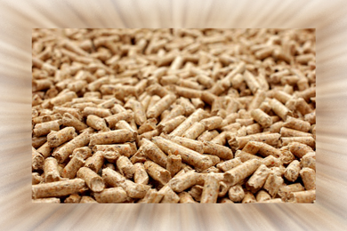 The forecasted growth in wood pellet production in Europe will increase competition for wood fiber & require new feedstock sources