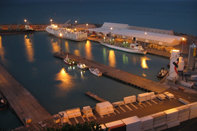 NZ – Log exports bolster port results