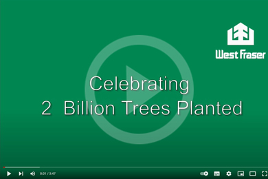 West Fraser Celebrates Two Billion Trees Planted