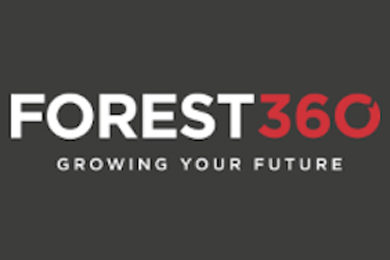 NZ – Forest360 Log export market update