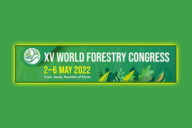 New Global Partnership Announced At World Forestry Congress